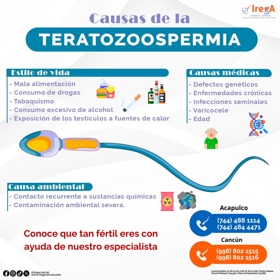 Instituto_IREGA's tweet photo. La teratozoospermia  es una condición en la que un alto porcentaje de espermatozoides tienen una forma anormal, lo que puede afectar la fertilidad. Consulta a un especialista para conocer tus opciones. 🌟 
🏨IREGA Cancún 
📞Agenda tu cita: (998) 802 1515 - (998) 802 1516 https://t.co/KG4SZQ2ESM