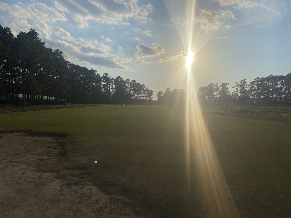 Kelly Lynch tweet media