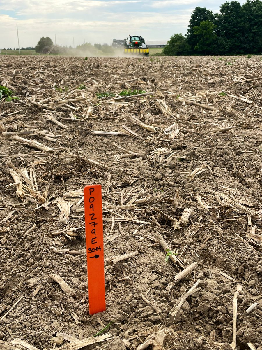 kmclagan20's tweet photo. Last couple soybean 🌱 plots in the ground. New Z series #Enlist plot east of Mitchell and a comparison IP plot @VDBGrains featuring @PioneerSeedsCA 07A10 11A10 13A03s & other competitors #plant24 #plotlife #goodingrain https://t.co/6wYNmWjcVj