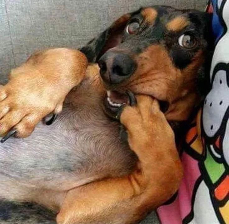 Adoro deitar pra dormir e ficar imaginado o jake com ciúmes da np com o eric, mesmo que eu não vá flertar com ele nos próximos eps