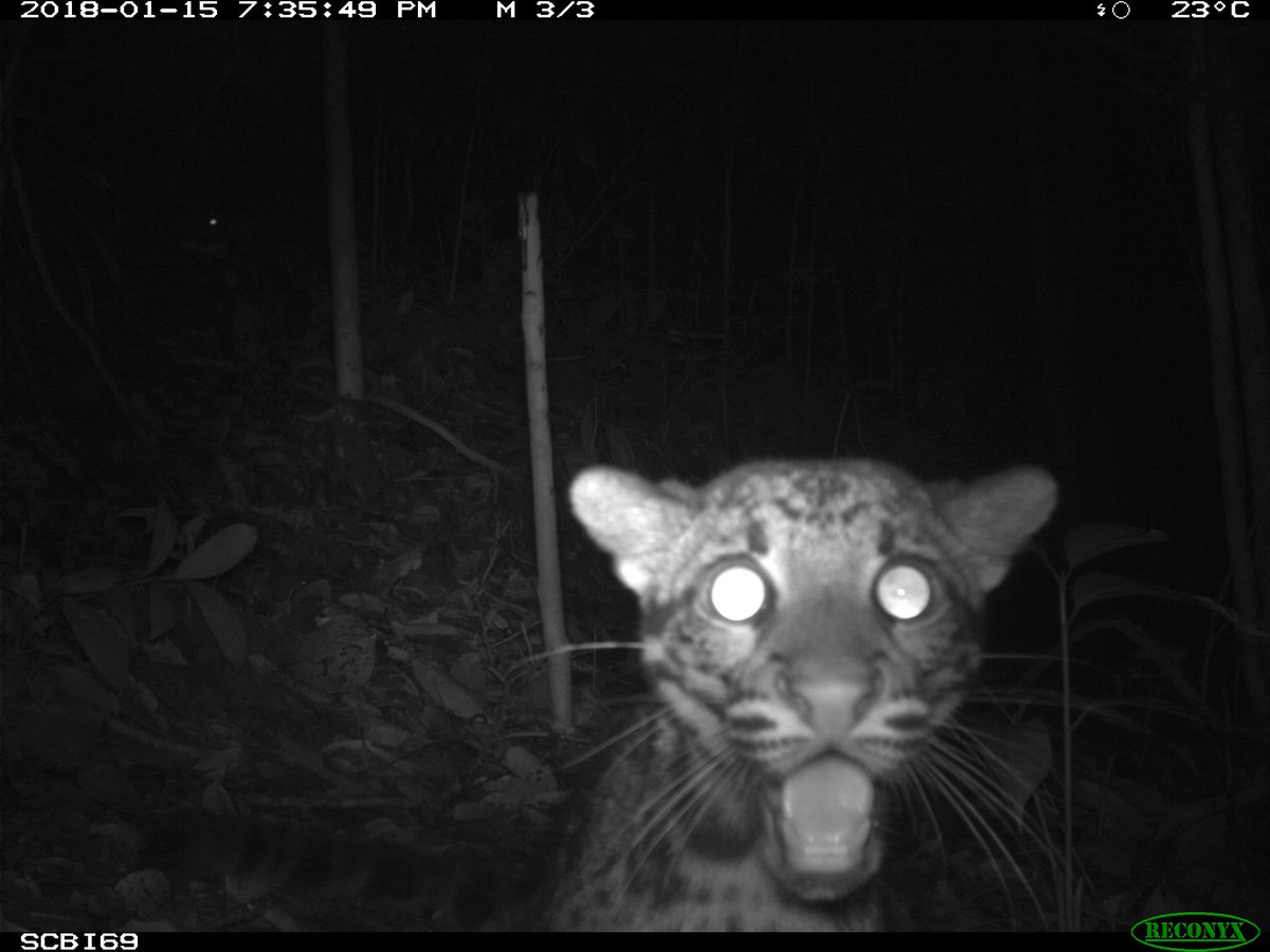 Are we back?

Is the mhverse back?