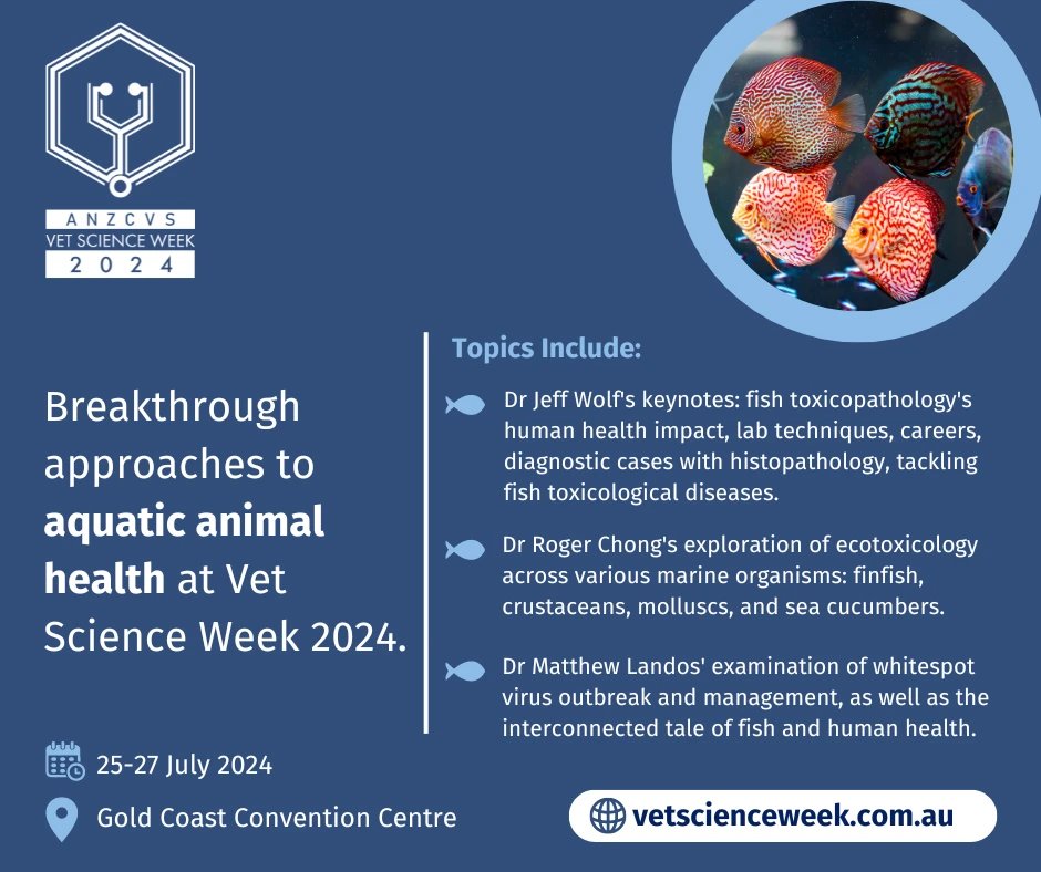 anzcvs's tweet photo. At the Aquatic Animal Health stream of #VetScienceWeek24, you'll dive into the latest diagnostics, treatments & industry updates from leading experts in this specialised field. There's also group discussion to advance learning & career opportunities.
#VSW24 #ANZCVS https://t.co/v0MQm2pvUR