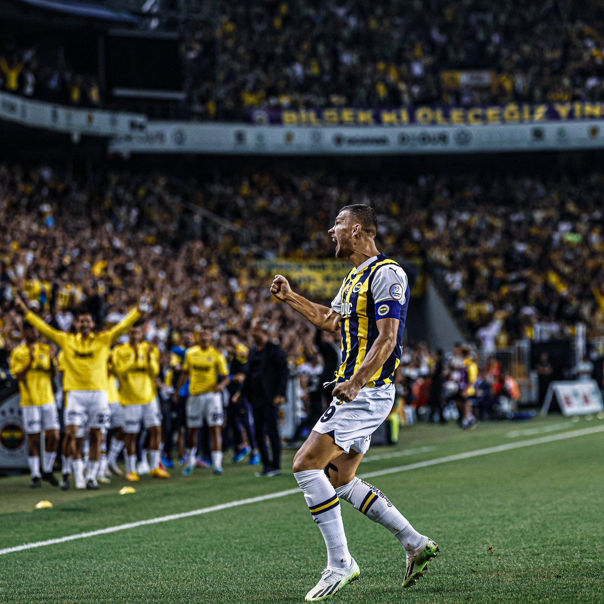 atabelo24's tweet photo. Güzelce ugurlanıp evine gönderilmeli amk eytlisi batsuayi de 2. Forvet olmalı
@Fenerbahce https://t.co/pCcUwik5P2