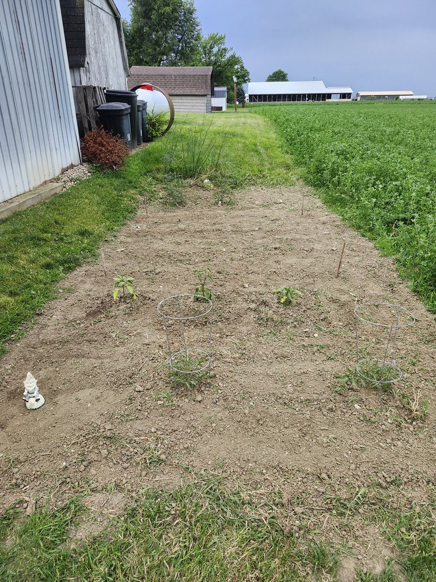 Cory Albers tweet media