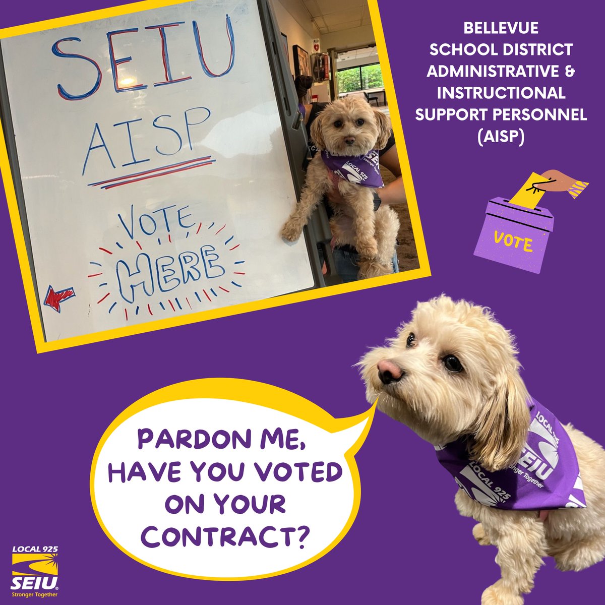 SEIU925's tweet photo. Our Bellevue School District Administrative & Instructional Support Personnel (AISP) chapter’s contract ratification is off to pawsitive start! Thanks to Daisy for fetching votes. 🐶🗳️
#FetchTheVote #UnionsForAll https://t.co/JOZIbTrAHm