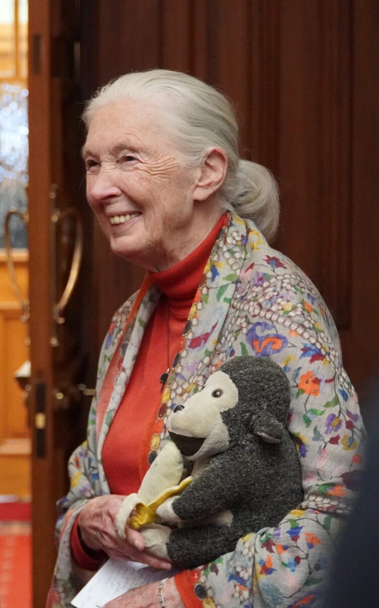 Forest & Bird tweet media