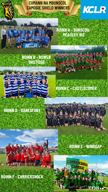 Kilkenny Camogie tweet media