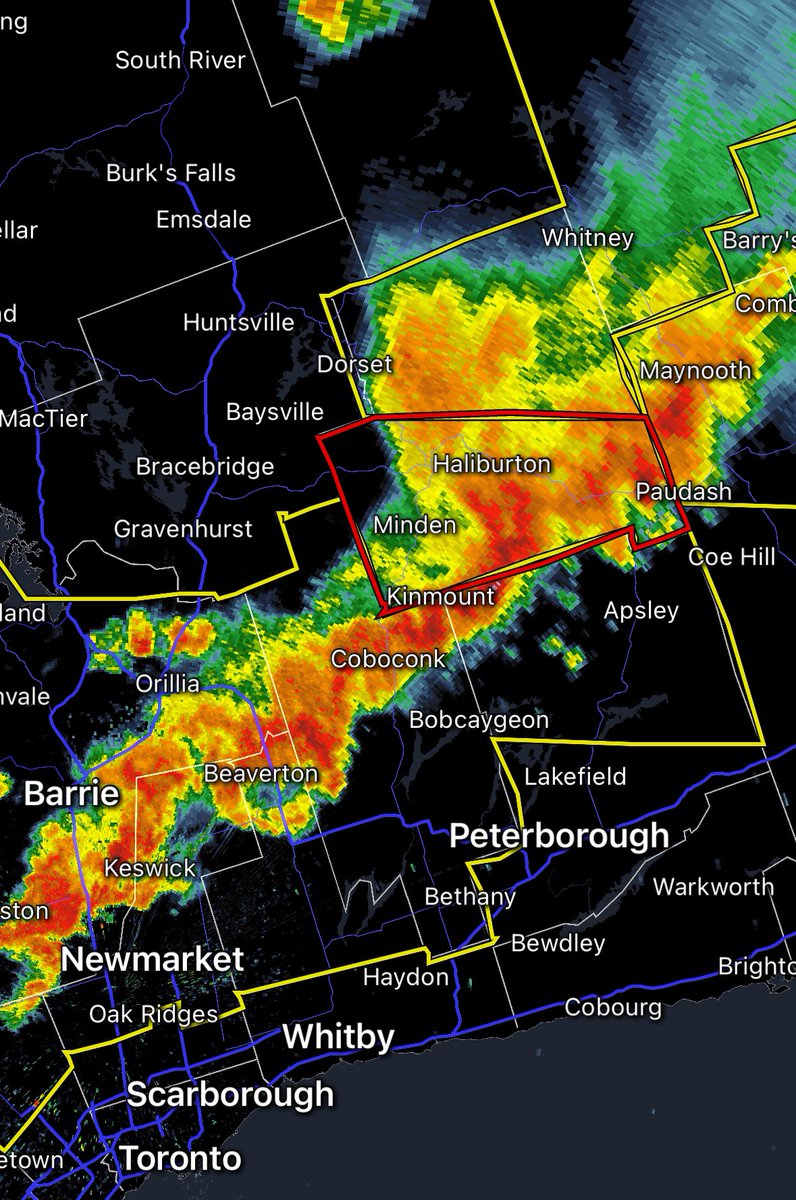 Tim Rollwagen tweet media