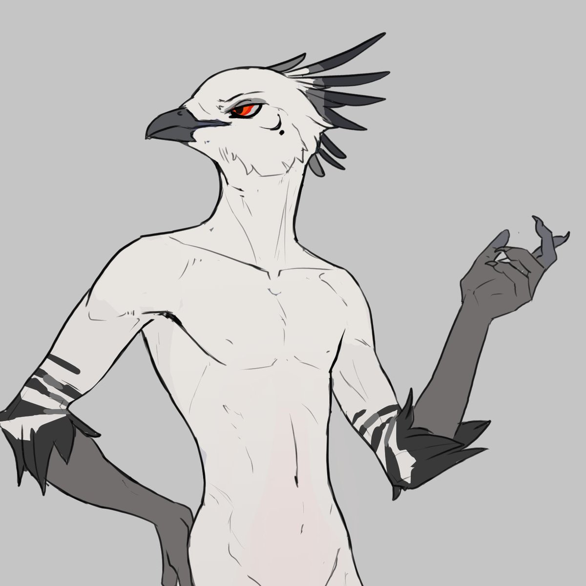 It's national pigeon day so you will look at my pigeon Ravadian :)