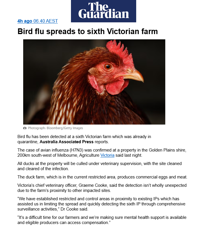 BigBadDenis's tweet photo. Victoria: Bird flu spreads to 6th Victorian farm.
"The case of avian influenza (H7N3) was confirmed at a property in the Golden Plains shire, 200km south-west of Melbourne, Agriculture Victoria said last night."
#Birdflu #H7N3
Source: https://t.co/MmYAwkTp9D https://t.co/QLMjcPRuMm