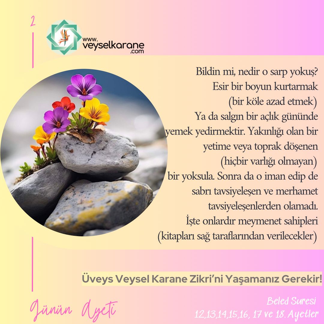 MuhsinAytemur's tweet photo. https://t.co/CpKzutQok0