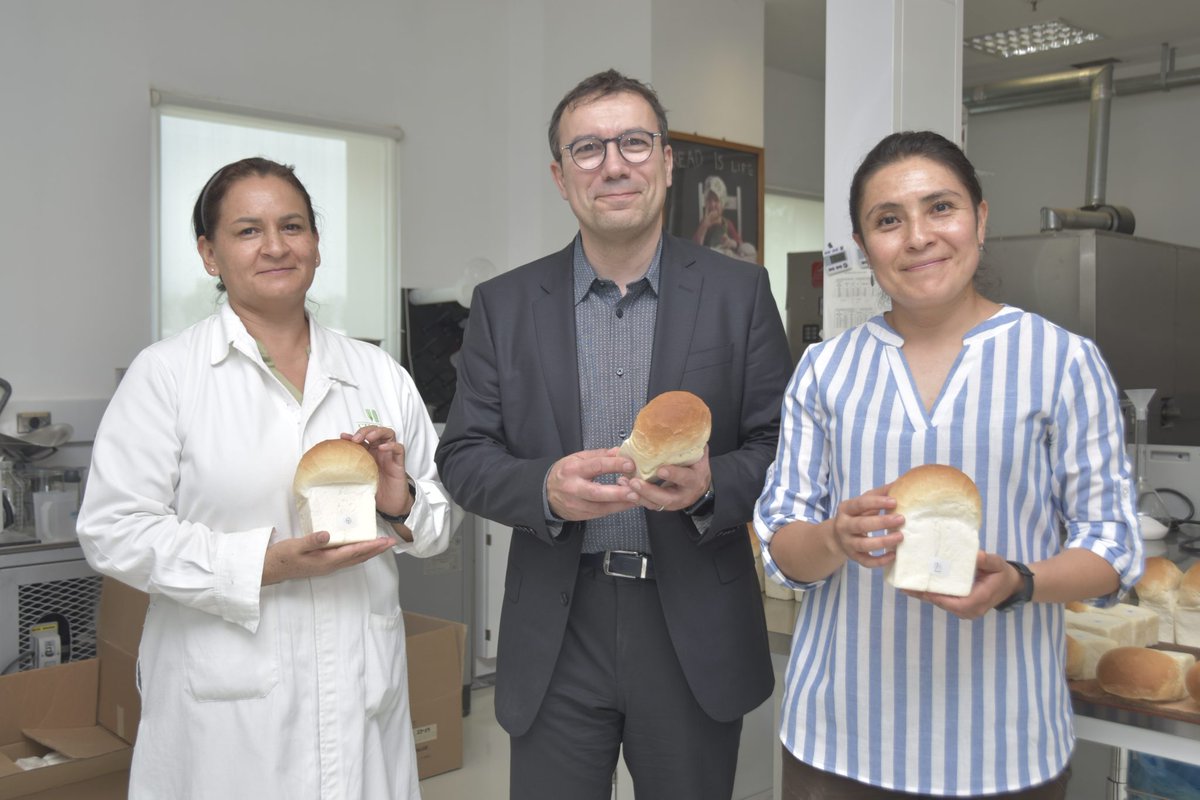 CIMMYT tweet media