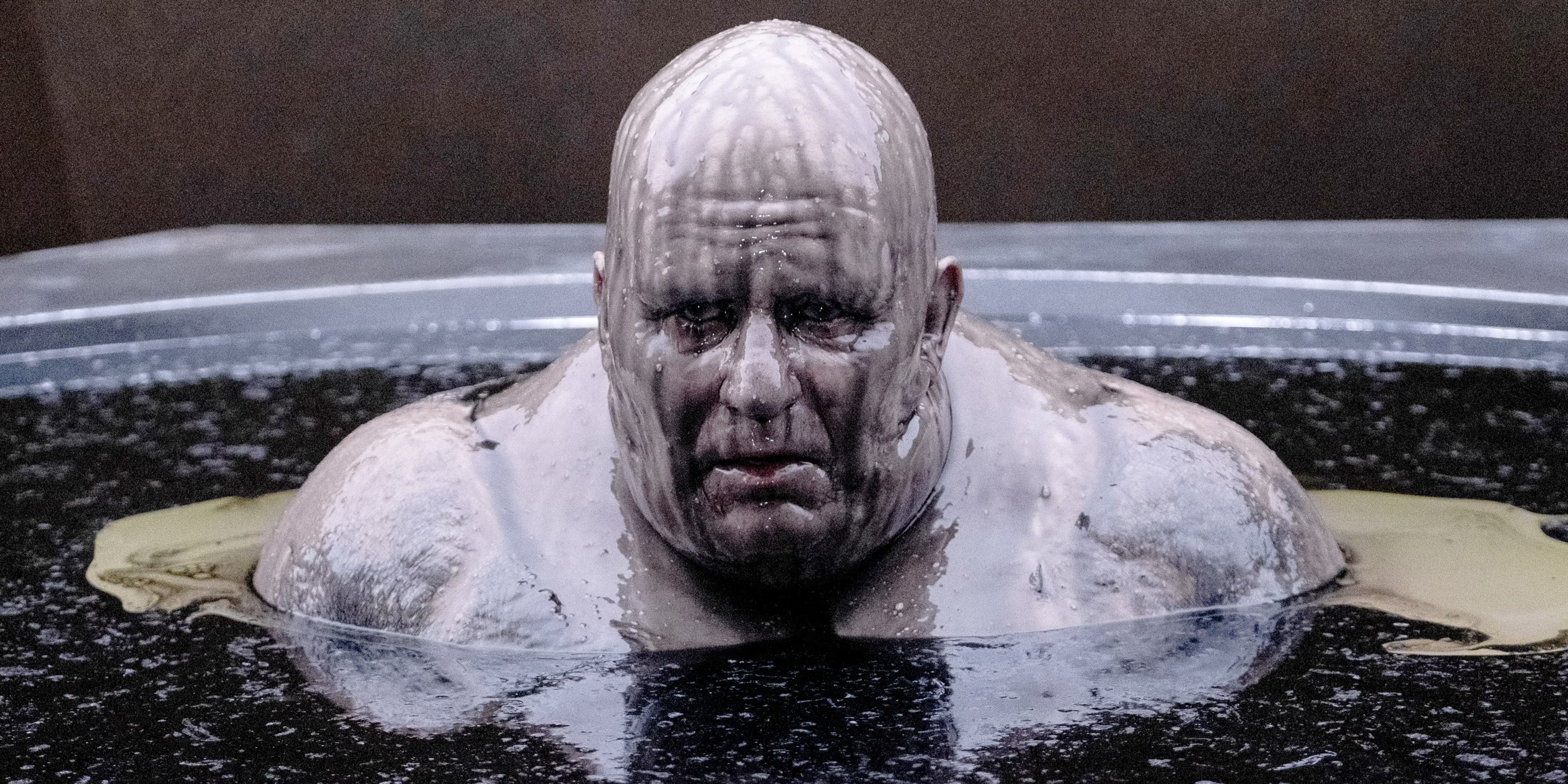 Stellan Skarsgård is te gast op het Sarajevo Film Festival 2025