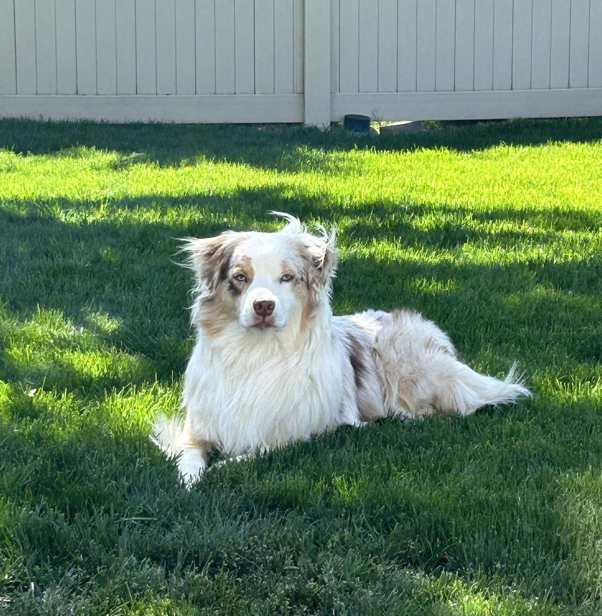 Jon Atkins tweet media