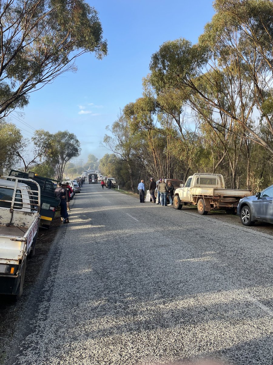 jemo44's tweet image. More utes at Muresk than the B&amp;amp;S 20 years ago. #keepthesheep