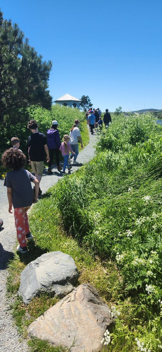 What better way to spend our last day of Buddies than a walk around the pond? It was such a sunny, fun time! <a href="/jessmmw/">Mrs. Day</a> <a href="/StTeresasSchoo1/">St. Teresa's School</a>