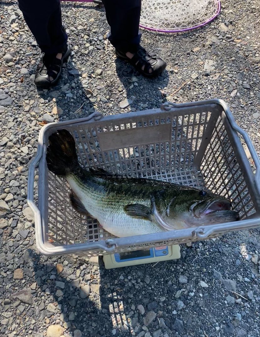 kMWExwo6A2cB2du's tweet photo. #Bassing
#七色ダム
#オーバー4000 https://t.co/80eGgfVmJV