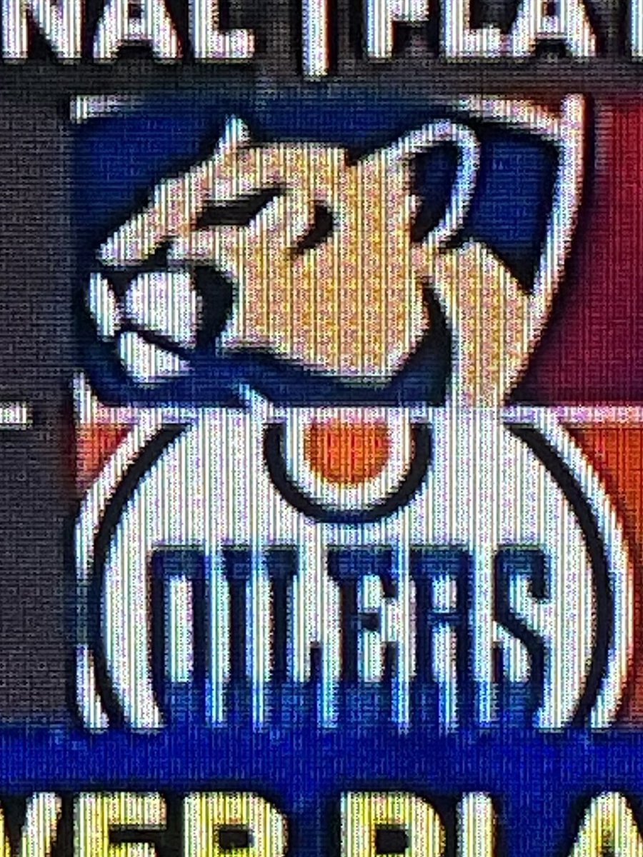 tLE_Drummer's tweet photo. Me: Hey, it looks like the FL "Panther" is wearing an Oilers jersey 😹

My wife: ...

#stanleycupfinals #oilers #panthers #game3 https://t.co/zjI4a3mjTg