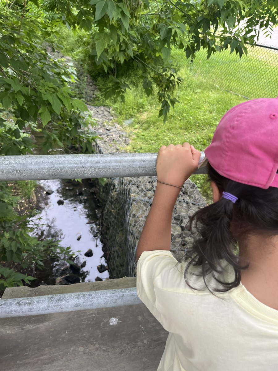 Kenollie Nature Walkers! 💕🌱🌊