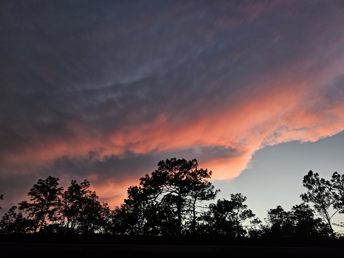 Edover60's tweet photo. Evening sky and bats! #flwildlife #bats #sunset https://t.co/hH0da7YmOE