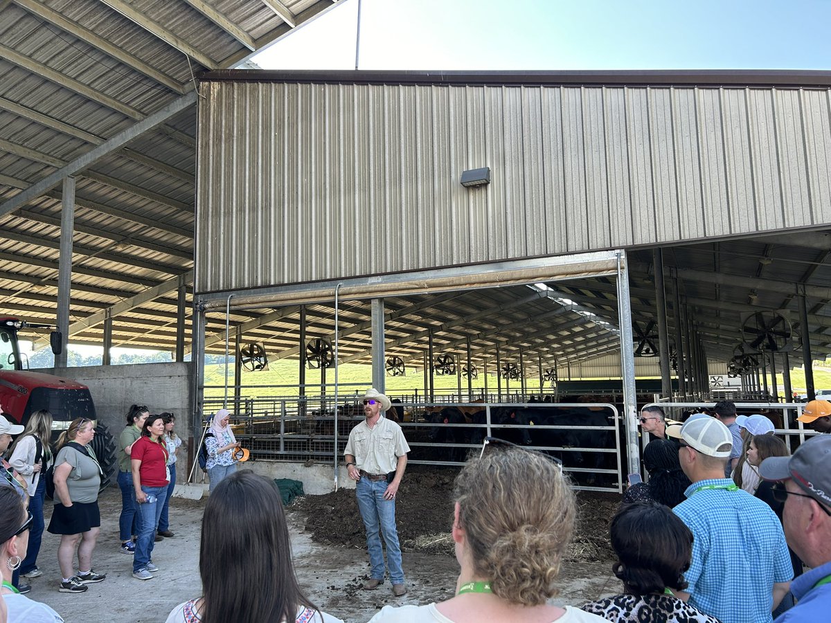 stephlam02's tweet photo. That’s a wrap at @BeefImproveFed ! 
Thanks @TroyNRowan and the BIF team for organizing the tours of leading beef and dairy operations!! 🧬 ✅ 

Thanks for hosting us University of Tennessee @CityKnoxvilleTN 🇺🇸 

#BIF2024 #beefimprovement #beefgenetics https://t.co/54Aw4IZfQP