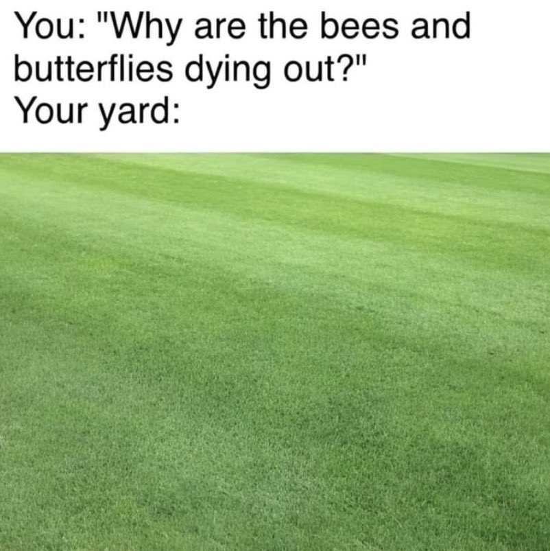 Sal the Agorist (@sallymayweather) on Twitter photo 