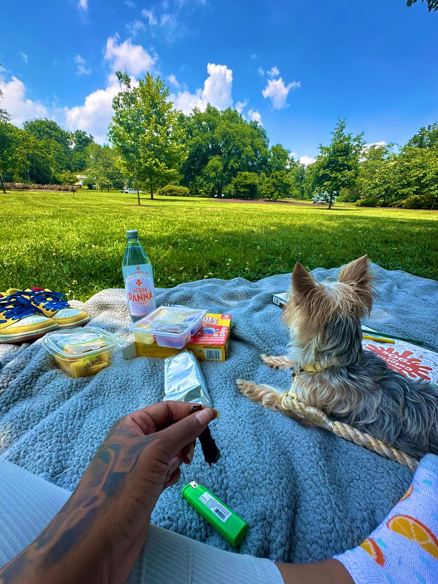 ItsJustTiff_'s tweet photo. Got out and touched some grass today 💙 https://t.co/rWRAuZZu63