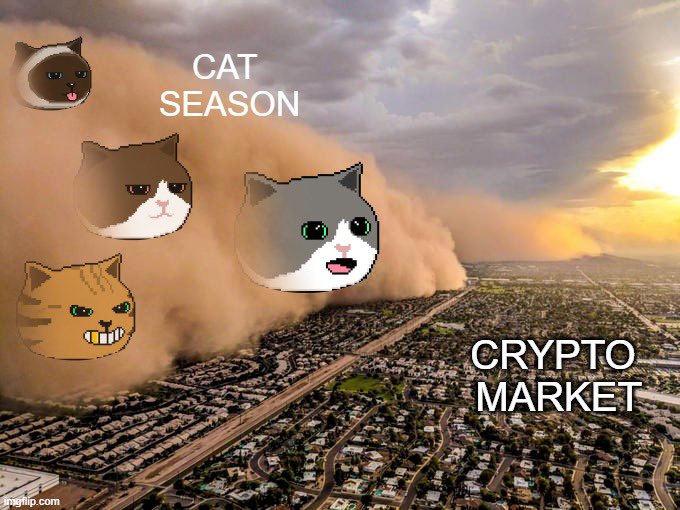 naiivememe's tweet photo. https://t.co/Azg8LIiaEj