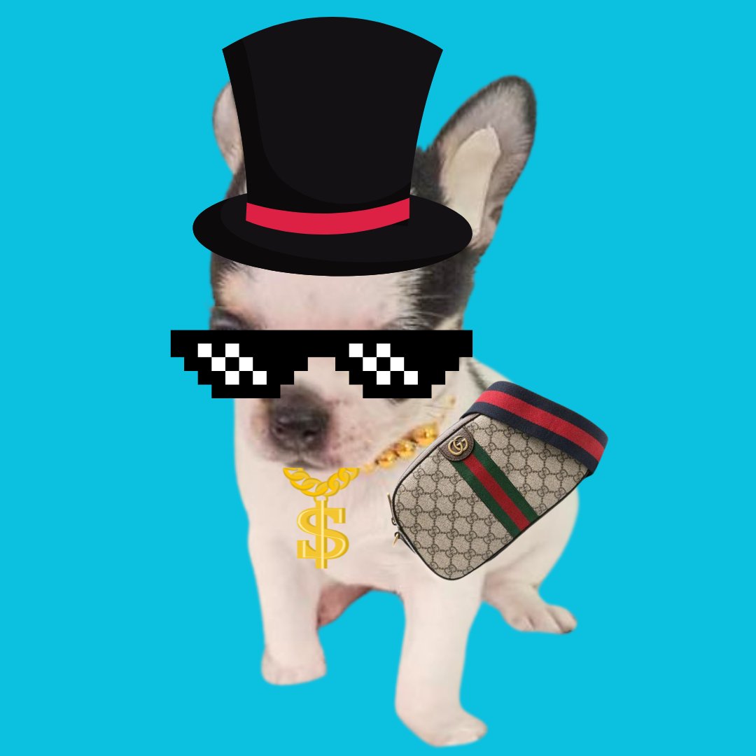 CleverBoyToken's tweet photo. @The__Solstice $clever boy 4LkiAaoQwQDeqzVz5s9ZBRhCvukzmzTXkdQaL8Dnpump https://t.co/v2NhIQmvic