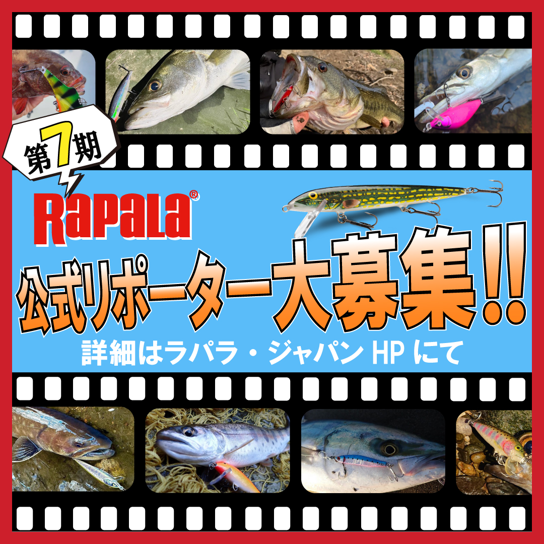 rapalajapan's tweet photo. 【第7期ラパラ公式リポーター募集】

ラパラ・ジャパン取扱い製品を使用し、製品の使い方や釣果をSNSなどでご紹介頂く方を募集します。一緒に盛り上げましょう❗️

▼活動期間
２０２４年　７月１日～９月３０日

▼応募期間
～６月１９日（水）　締切

応募資格、応募方法は下記URLに記載しております。よくご覧になってから、ご応募ください。
https://t.co/5lMkcuHvyd

多くのご応募お待ちしております🤗