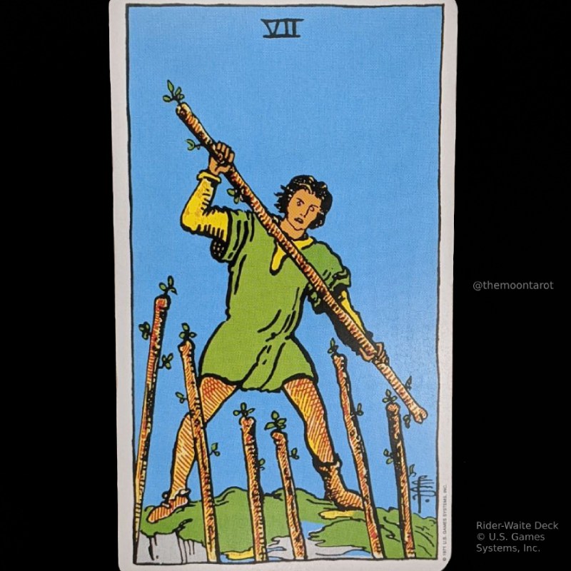 The Moon Tarot tweet media