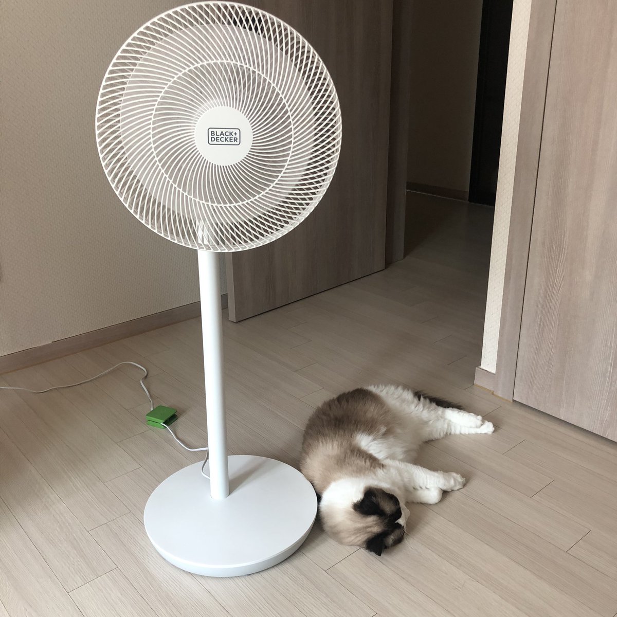 betterblanc's tweet photo. 오랫만에 편하게 있으니 좋다😅 https://t.co/Wwr18tnlLt