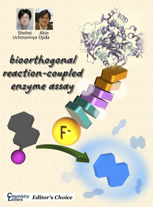 CSJjournals_jp's tweet photo. [EDITOR'S CHOICE]
#Desilylation , #FluorescentProbe , reaction-coupled assay
Article by Dr. Shohei Uchinomiya and Prof. Akio Ojida @KyushuUniv_EN (Kyushu University)
#Bioorthogonal #Enzymatic #Chemistry #OnTheCover #FreeAccess

https://t.co/lZcaryajX5 https://t.co/r37Z2dtuw7