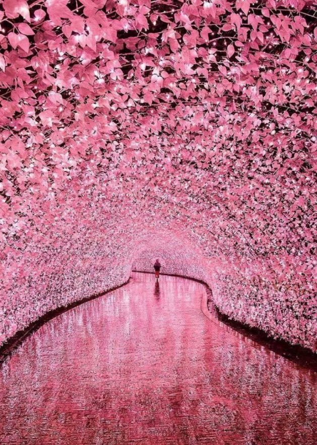 Aesthetics tweet media