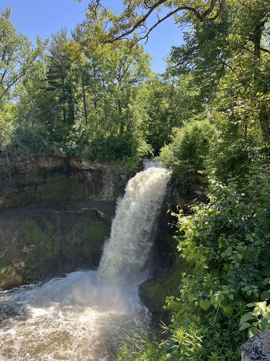 Andrew Fenelon tweet media