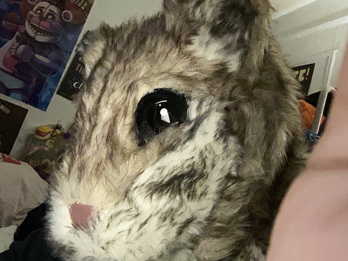 DiggFNAFFACTORY's tweet photo. Inspiration comes from the heart❤️😌 
DISCLAIMER: NO ANIMAL (HAMSTER) WAS HURT IN THE MAKING.. #syrianhamster #chinesedarfhamster #HAMSTERKOMBAT #funny #cute #fyp #trend #Viralvideo https://t.co/wo6qhM632a