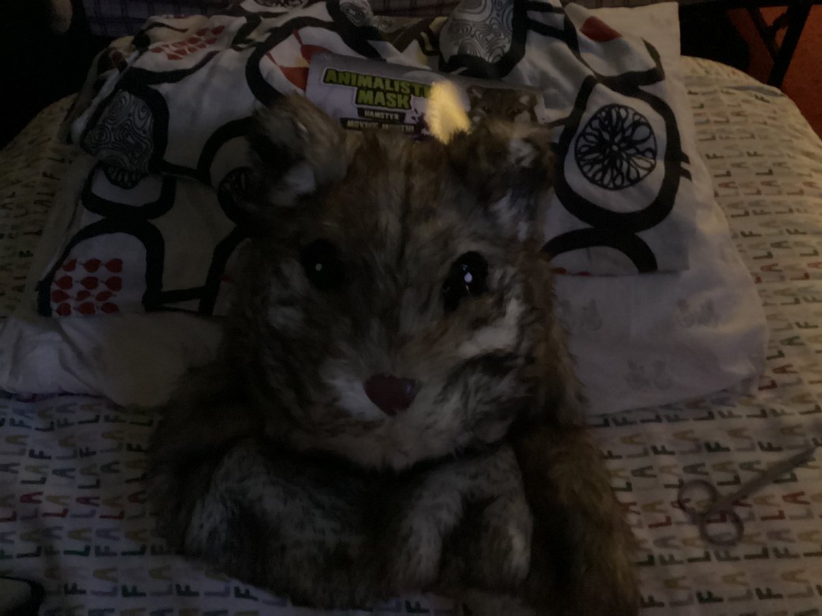 DiggFNAFFACTORY's tweet photo. Inspiration comes from the heart❤️😌 
DISCLAIMER: NO ANIMAL (HAMSTER) WAS HURT IN THE MAKING.. #syrianhamster #chinesedarfhamster #HAMSTERKOMBAT #funny #cute #fyp #trend #Viralvideo https://t.co/wo6qhM632a
