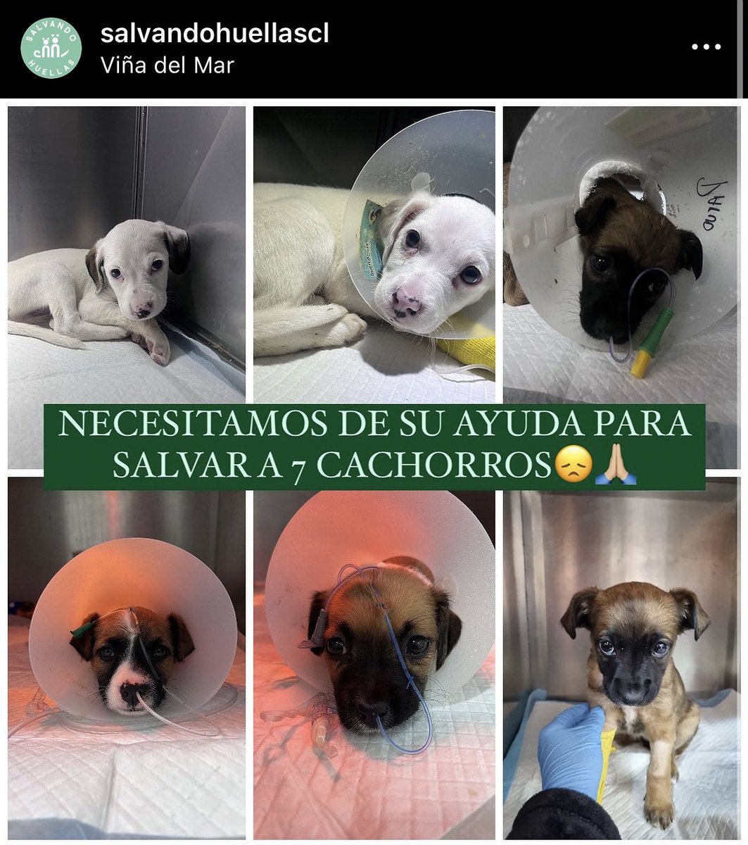eicspilled's tweet photo. Acabo de ver esto en instagram, les dejo los datos por si quieren aportar, todo sirve 🙏🏼🙏🏼 

#GanaroServir #BRIDGERTON Las Condes Copa América lluvia ayuda  inundado inundación Llueve Limache Accidebte Mega #MegaNoticias #Mega #CHV #TVN #t13 https://t.co/f1cwmOc4v6