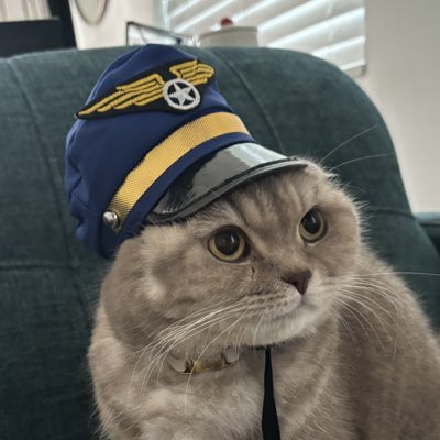 #NewProfilePic