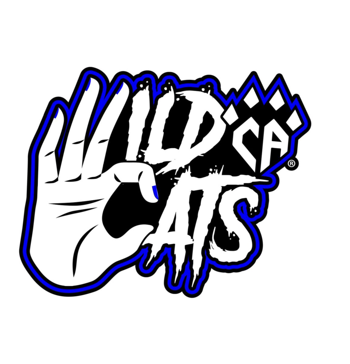 welllll i guess im gettin wild this season💙