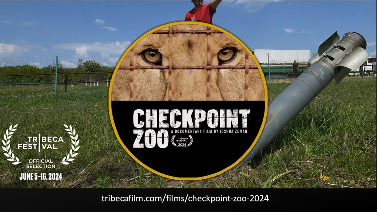 Revkin's tweet photo. Here's my Sustain What post on #CheckpointZoo, the potent new @joshzeman documentary premiering right now at #tribeca2024 @Tribeca:  https://t.co/To1DDSCmCZ

The film, focused on efforts to evacuate animals from a Karkhiv zoo in the early days of Putin's war on Ukraine, is an extraordinary portrait of the jarring mix of humanity and inhumanity created in wartime. There is heroism, wrenching loss, boundless love and a key component of any film - transformation. In this case, one of the young volunteers, a veterinarian, goes into military service as a medic.

The presence of non-human animals, as both victims and witnesses to the best and worst our species has to offer, further intensifies the experience and the leaves the viewer full of tough and essential questions.