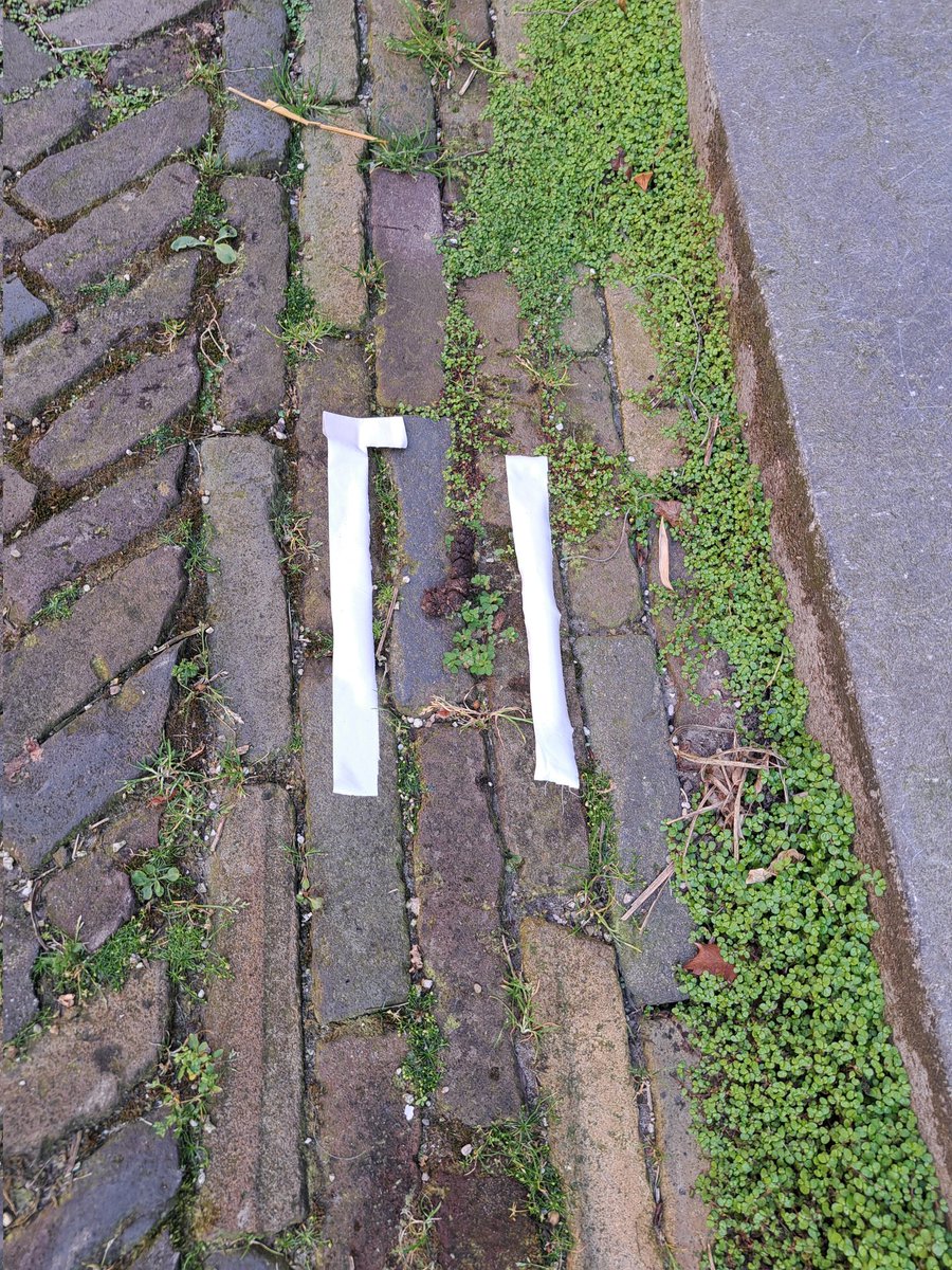 jacqsoecker's tweet photo. Overgebleven sporen van het plaats van delict #kattenpoep #plaatsvandelict https://t.co/fCJg6n9JfC