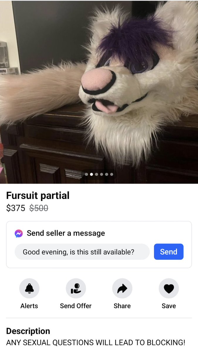 Turtle Bugg tweet media