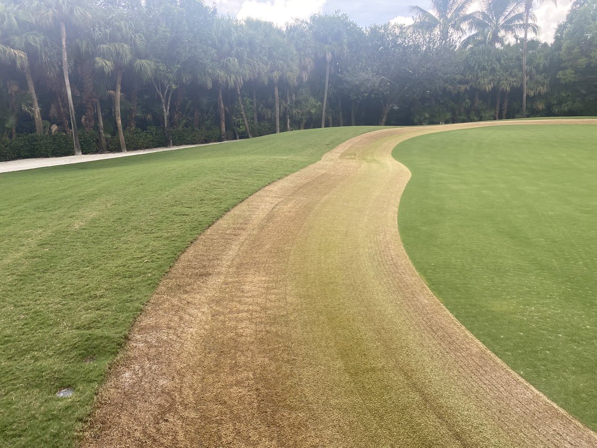 GC Solutions 101 (@minifrasemow) on Twitter photo It’s been a great week out on the road delivering our Mini Frase Mowers for Clubs to Rent. They’ve been working out great for clubs to remove Collar Dams and Grain to prepare for next season.
FraseMow@Gmail.com It’s been a great week out on the road delivering our Mini Frase Mowers for Clubs to Rent. They’ve been working out great for clubs to remove Collar Dams and Grain to prepare for next season.
FraseMow@Gmail.com
