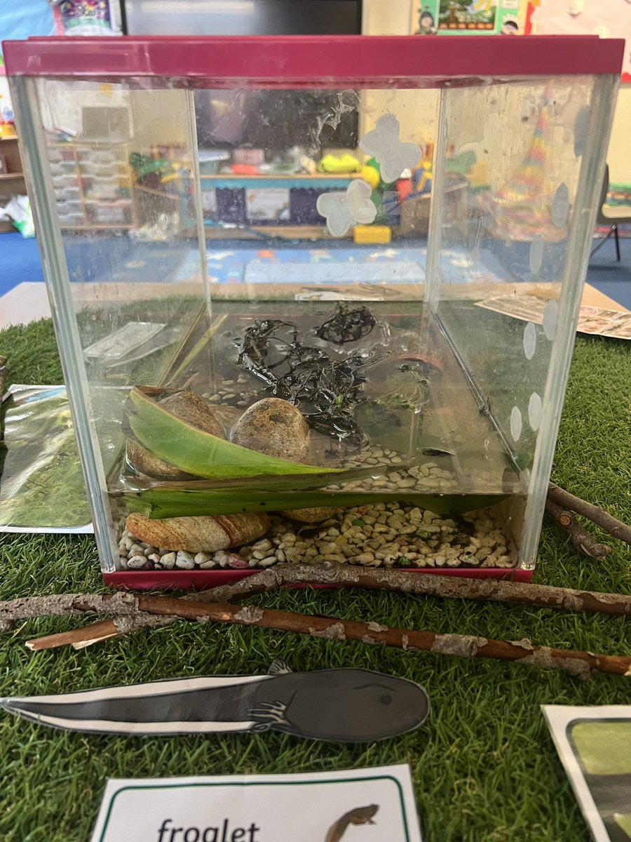 Miss Maggs tweet media