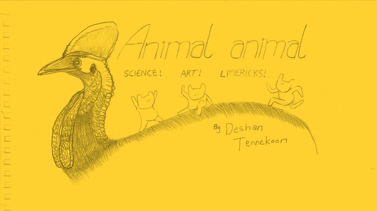 Deshan Tennekoon tweet media