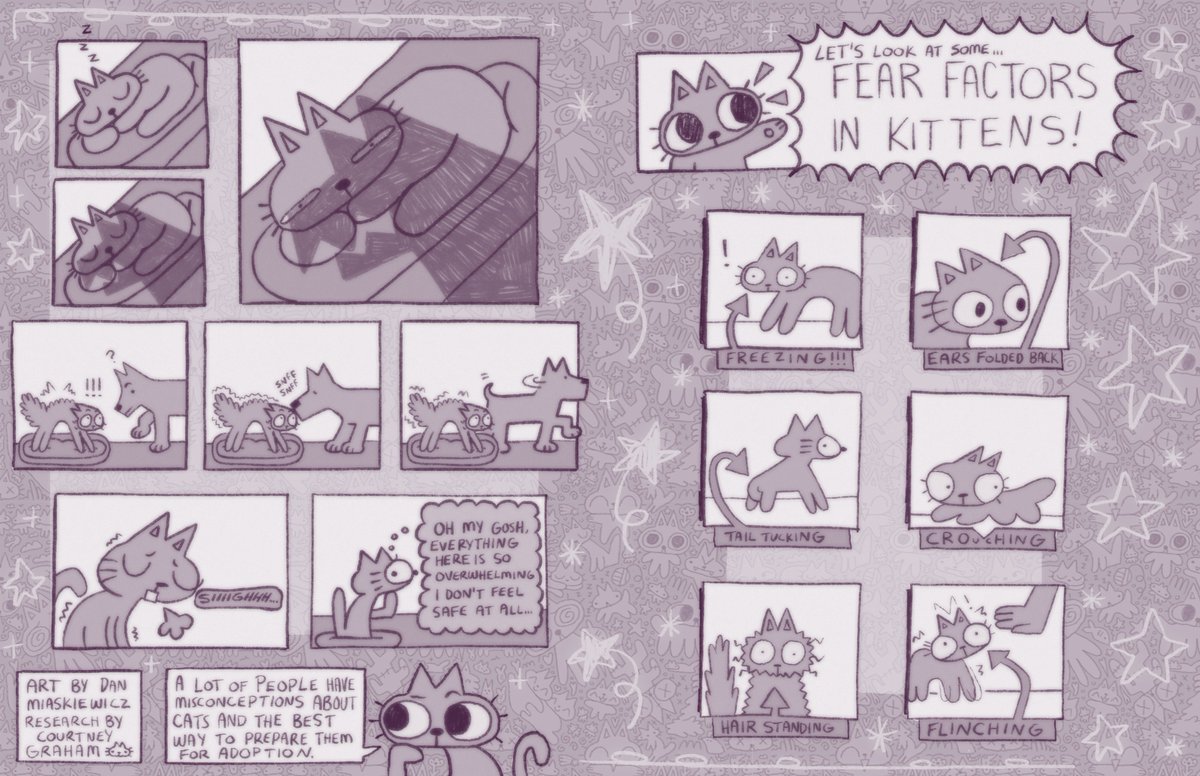 courtneyandcats's tweet photo. I recently collaborated with @MassArt to develop a comic of my kitten research. Recent BFA graduate Dan Miaskiewicz created the amazing artwork using my research findings on kitten fear behaviour. Thanks so much Dan! ๐ฑ
#sciencecommunication #kittenscience https://t.co/dWiT0dTQva