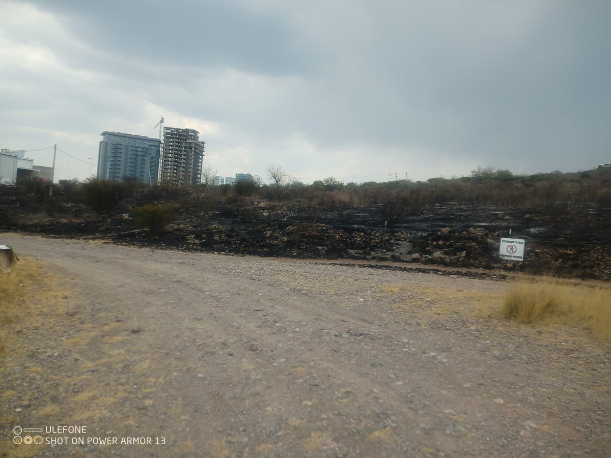 jorgelona1's tweet photo. Agradezco a nuestros compañeros de los cuerpos de @BomberosdeLeon y @Proteccion_leon gracias a su trabajo se logró controlar el incendio de Cerro Gordo, se exhorta a la población a no tirar colillas de cigarro en la vía pública  o encender fogatas. https://t.co/woCv0eD2AV