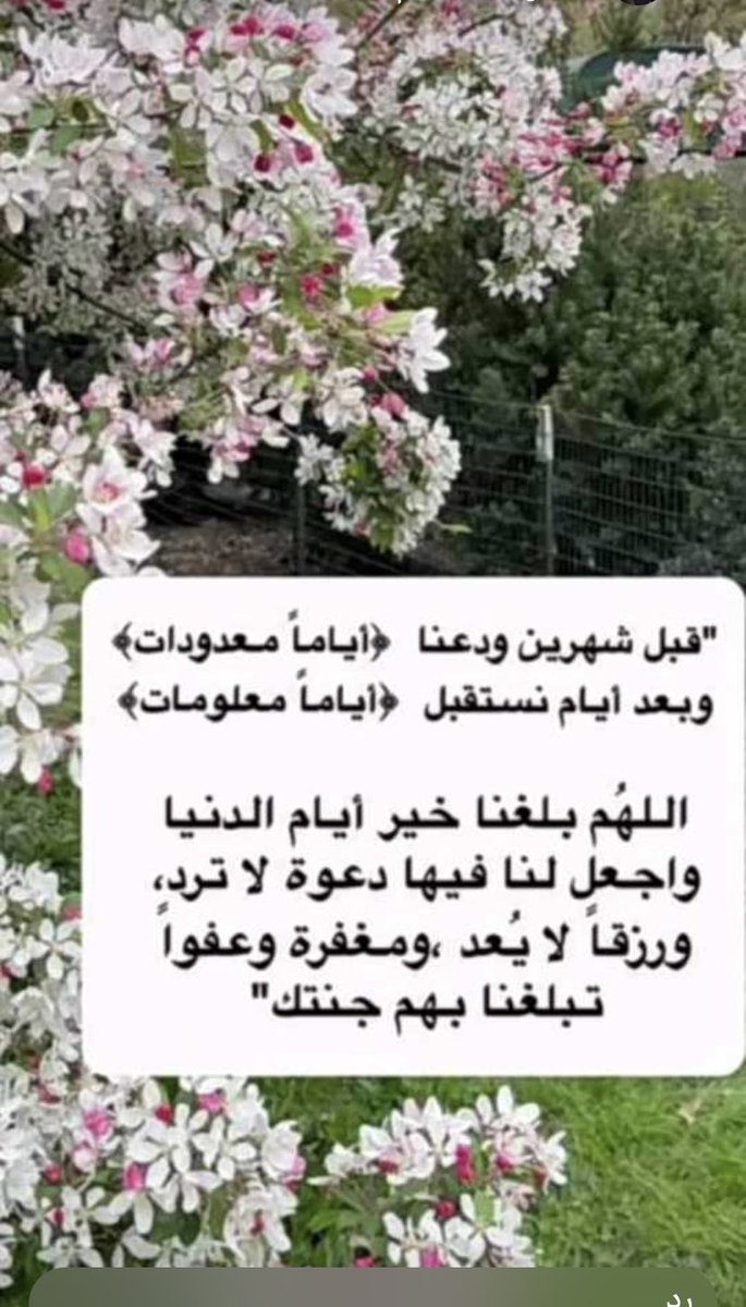 sellaiii's tweet photo. https://t.co/pvkiKAkJ2v