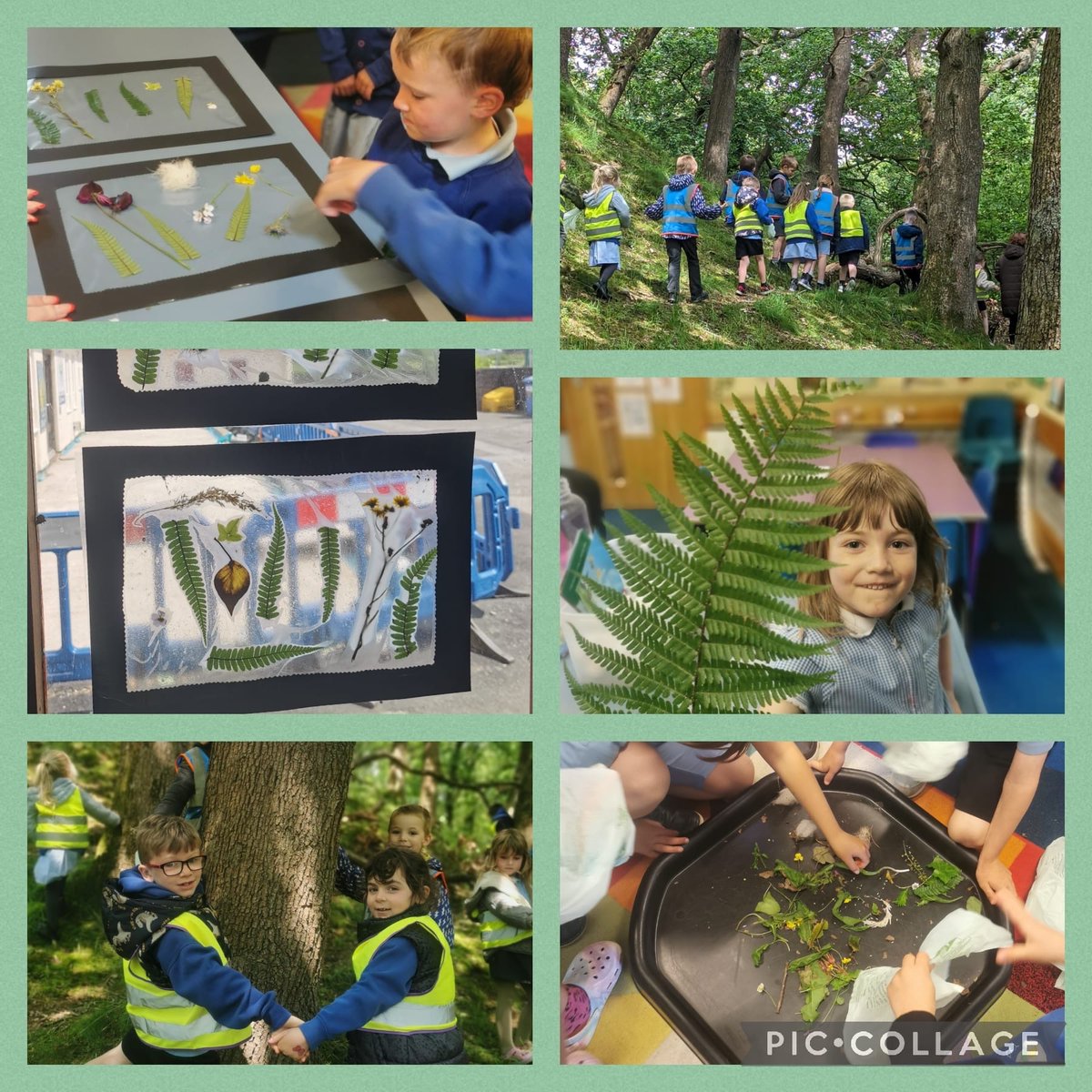 ysgolfelin's tweet photo. Coedwig a Chelf. Rydym yn caru pnawn Heini Hapus ar ddydd Mercher yn y Dysgu Sylfaen. #natur #Lles #creadigol #awyriach https://t.co/Wv8fwUBGjl